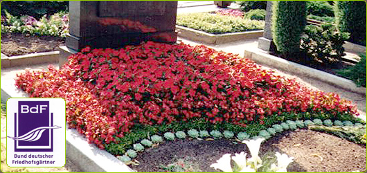 Blumehaus am Epan, Blumen Kriegbaum